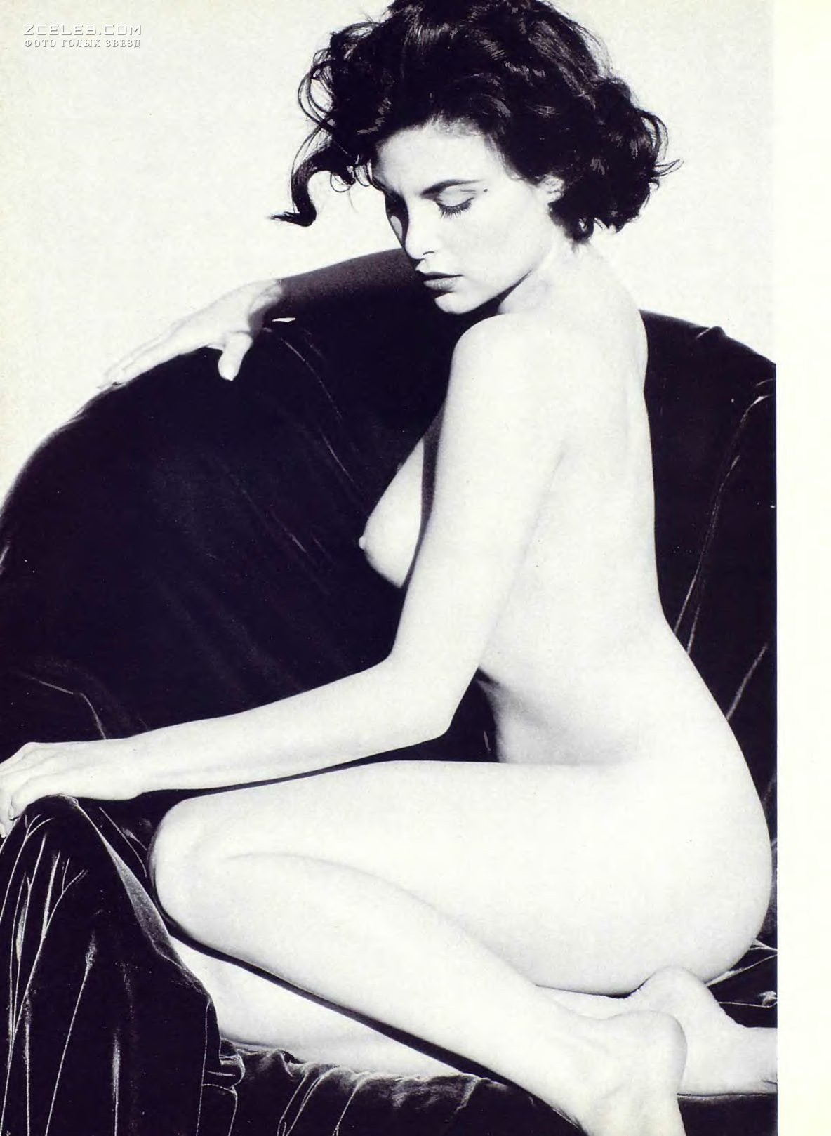 Голая Шерилин Фенн на фото для мужских журналов.